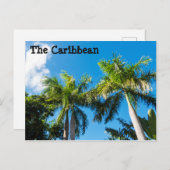 木カリブの材 ポストカード (正面/裏面)