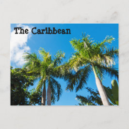 木カリブの材 ポストカード