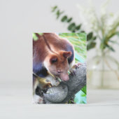 木カンガルー 案内ポストカード (スタンド正面)