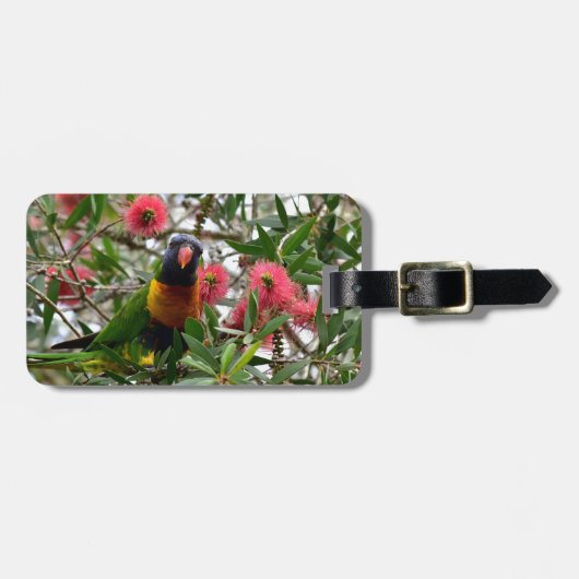 木クイーンズランドオーストラリアの虹LORIKETT ラゲッジタグ (正面横)