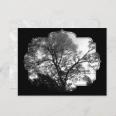 木クール写真。 ポストカード (正面/裏面)