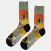 木ブロック玩具付き白いベリーズのカワイクパロット ソックス (左)