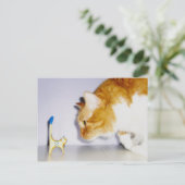 木ユーモアのあるの子猫像を見る猫 ポストカード (スタンド正面)