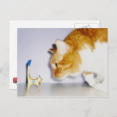 木ユーモアのあるの子猫像を見る猫 ポストカード (正面/裏面)