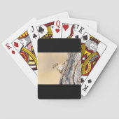 木リス トランプ (裏面)