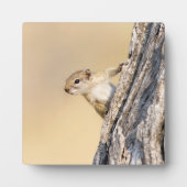 木リス フォトプラーク (正面)