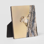 木リス フォトプラーク (正面)