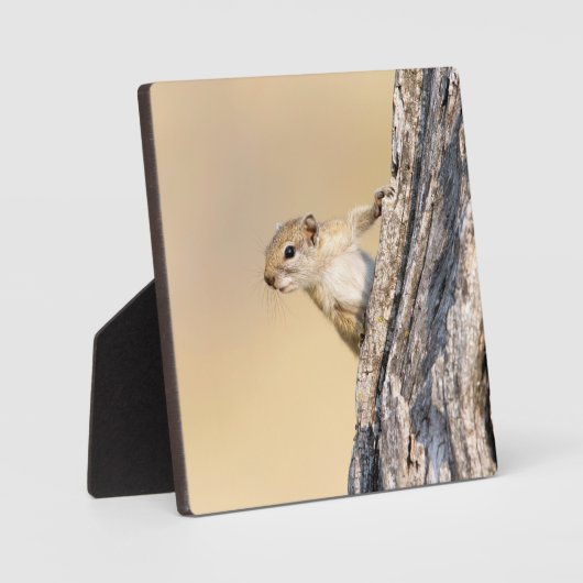木リス フォトプラーク (正面)