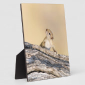 木リス フォトプラーク (側面)