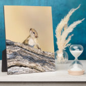 木リス フォトプラーク (側面)