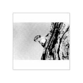 木リス ラバースタンプ (インプリント)