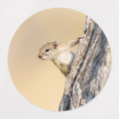 木リス ラベル (デザイン2)