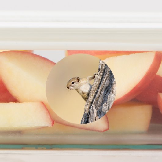 木リス ラベル (貼付)