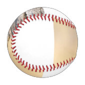 木リス 野球ボール (正面左)