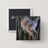 木リスPin 缶バッジ (正面&裏面)