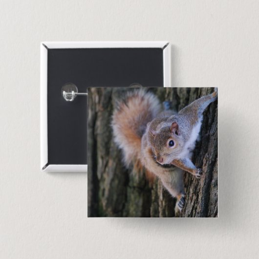 木リスPin 缶バッジ (正面&裏面)