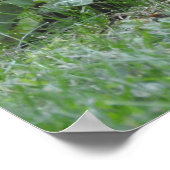 木リラックス根に休むリス ポスター (角)