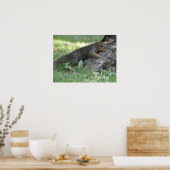 木リラックス根に休むリス ポスター (キッチン)