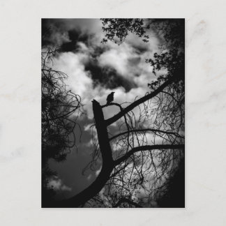 木不気味の中のカラス ポストカード