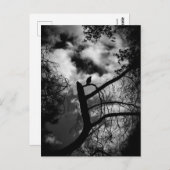 木不気味の中のカラス ポストカード (正面/裏面)