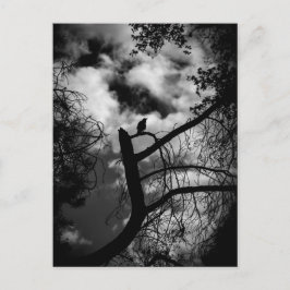 木不気味の中のカラス ポストカード