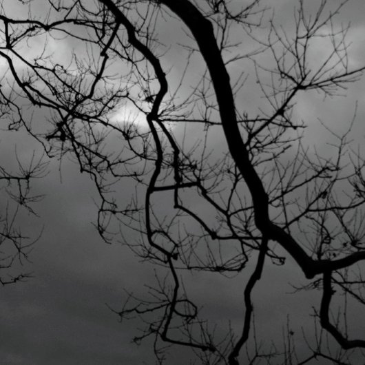 木不気味ハッピーハローウィン折りグリーティングカード カード