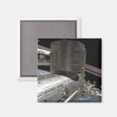 木保日本の複合体 マグネット (正面/裏面)