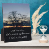 木写真は一切持ち越さない フォトプラーク (側面)