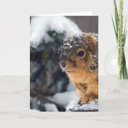 木凍っていの実が早く腐る カード (正面)