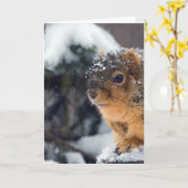 木凍っていの実が早く腐る カード (黄色い花)