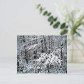 木凍っていの枝 ポストカード (スタンド正面)