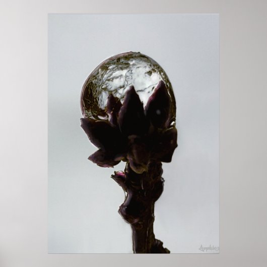 木凍ってい枝写真の雨滴 ポスター (正面)