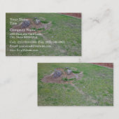 木切り株を覆う造園のアイディア 名刺 (正面/裏面)