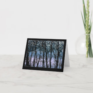 木及び日曜日の輝き カード