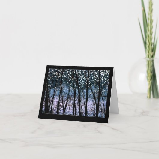 木及び日曜日の輝き カード (正面)