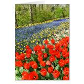 木地のチューリップ (正面)