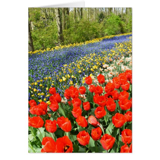 木地のチューリップ (正面)