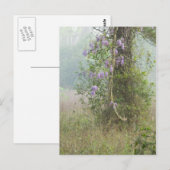 木地の紫の花 ポストカード (正面/裏面)