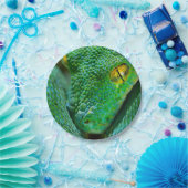 木場面 ペーパープレート (パーティー)