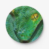 木場面 ペーパープレート (正面)