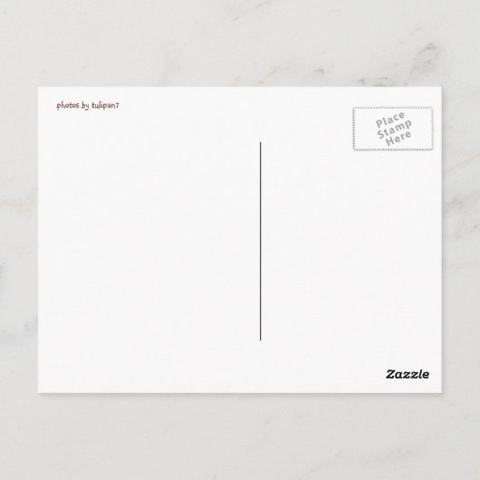 木工細工 ポストカード (裏面)