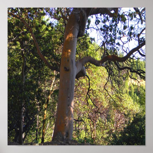 木幽霊のよく出るが….. ポスター (正面)