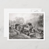 木星と湖ワース鉄道、フロリダヴィンテージ ポストカード (正面/裏面)