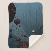 木星の小惑星。 シェルパブランケット (正面)