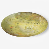 木星の硫黄火山月 ペーパープレート (アングル)