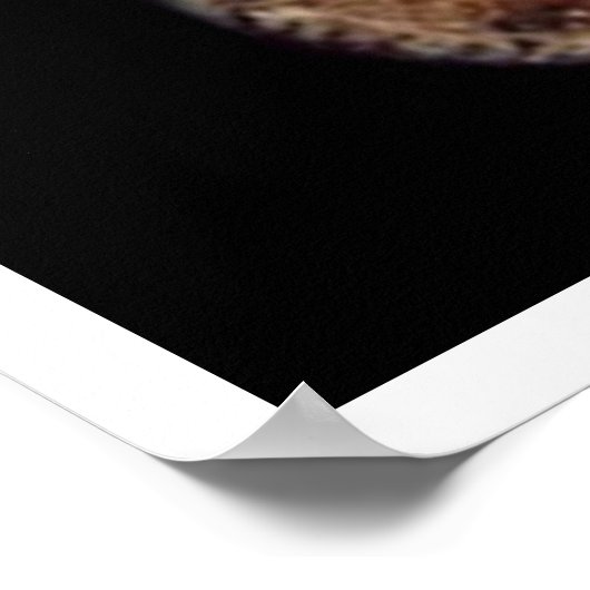 木星系 ポスター (角)