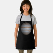 木星 エプロン (インサイチュ)