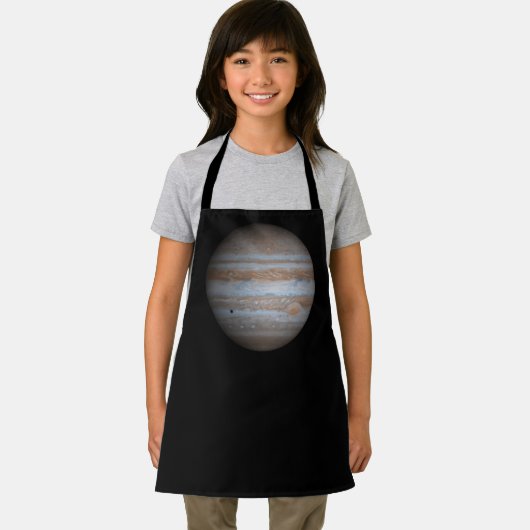 木星 エプロン (インサイチュ)