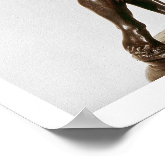 木星（ブロンズ） ポスター (角)