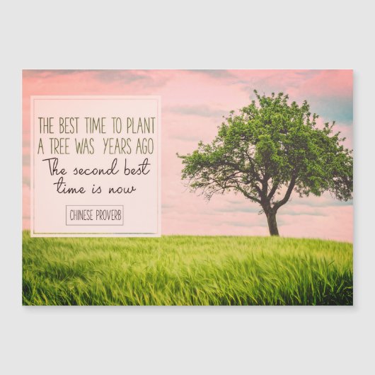 木最高のを植える時間 (正面)